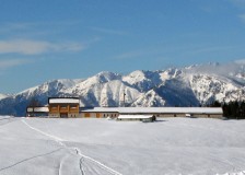 Rifugio malga Campon