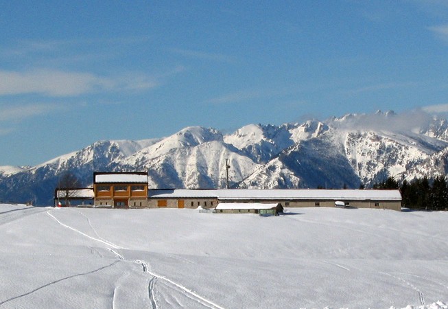 Rifugio malga Campon